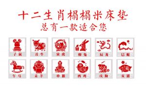 后方注龙猫打一生肖_后方住龙猫打一生肖是猪