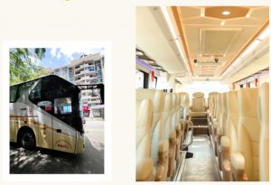 大巴车能带宠物猫吗_带猫乘大巴注意事项