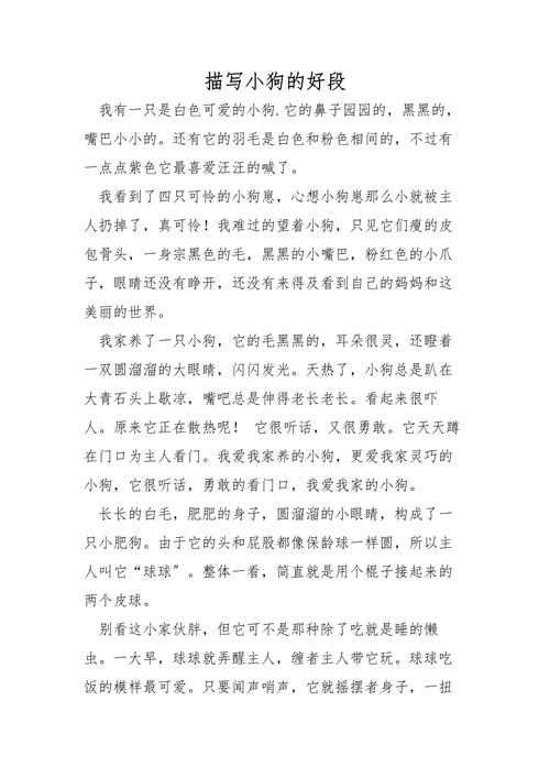 生成一段话小狗狗的心思很简单_狗狗聪明忠诚，渴望陪伴，期待主人回家