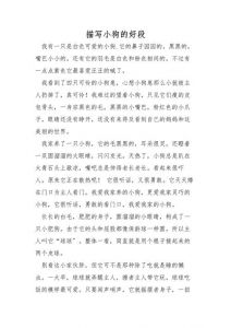 生成一段话小狗狗的心思很简单_狗狗聪明忠诚，渴望陪伴，期待主人回家