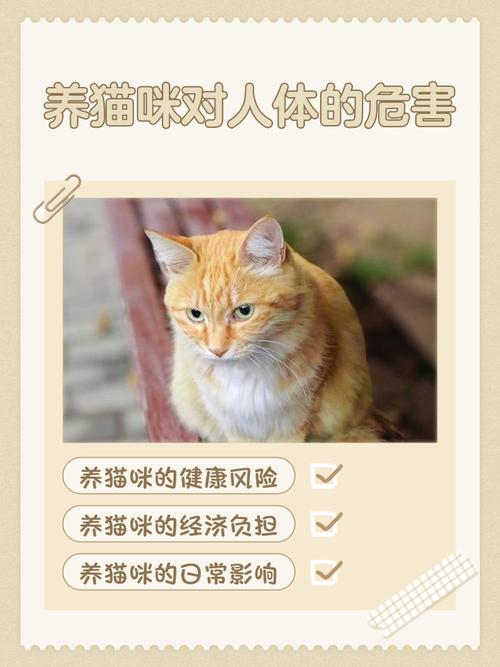 猫气味对人体有害吗_猫咪脚臭或健康隐患 猫气味对人体有害吗_猫咪脚臭或健康隐患
