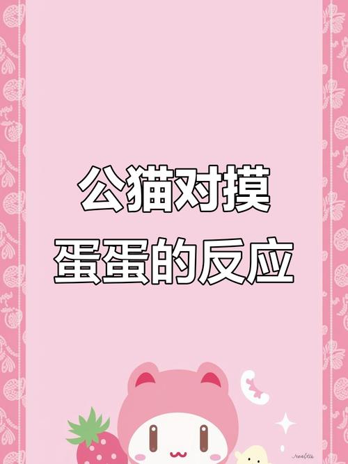 摸公猫肚子下面起反应了怎么办_摸猫咪肚子要小心,可能不舒服或生病 摸公猫肚子下面起反应了怎么办_摸猫咪肚子要小心,可能不舒服或生病