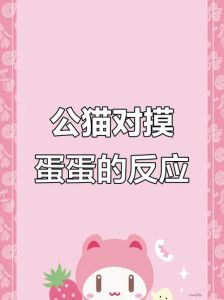 摸公猫肚子下面起反应了怎么办_摸猫咪肚子要小心，可能不舒服或生病