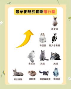 猫抗寒能力是多少°C_零下20℃是极限，保暖妙招分享