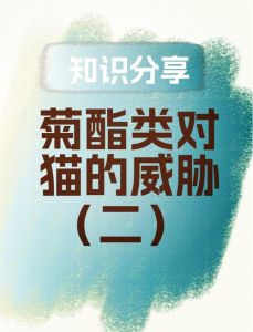 猫菊酯中毒后挺过几天就没事了_猫咪菊酯中毒怎么办？