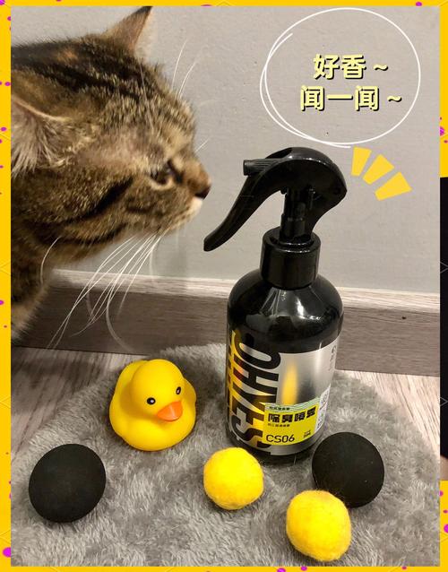 不小心给猫咪喷了香水_香水伤猫?小心过敏中毒,别喷! 不小心给猫咪喷了香水_香水伤猫?小心过敏中毒,别喷!