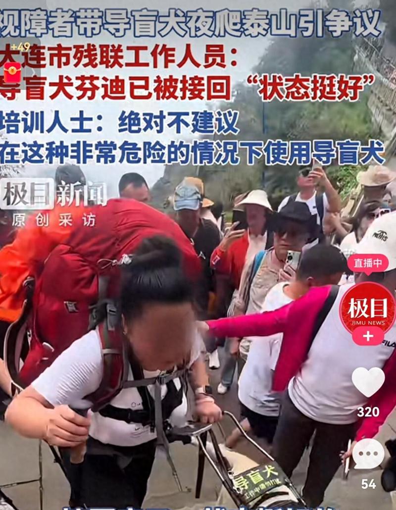 大连导盲犬事件_盲人带导盲犬爬泰山引争议，公众担忧芬迪健康