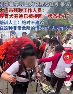大连导盲犬事件_盲人带导盲犬爬泰山引争议，公众担忧芬迪健康