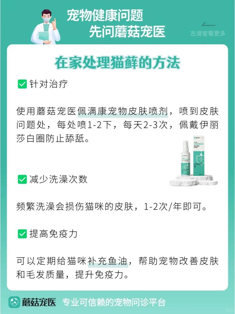 猫味道很大怎么去除_猫味重?清理猫砂勤梳毛,家具用酶清洁剂 猫味道很大怎么去除_猫味重?清理猫砂勤梳毛,家具用酶清洁剂