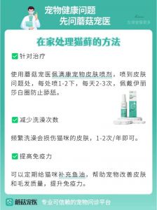 猫味道很大怎么去除_猫味重？清理猫砂勤梳毛，家具用酶清洁剂