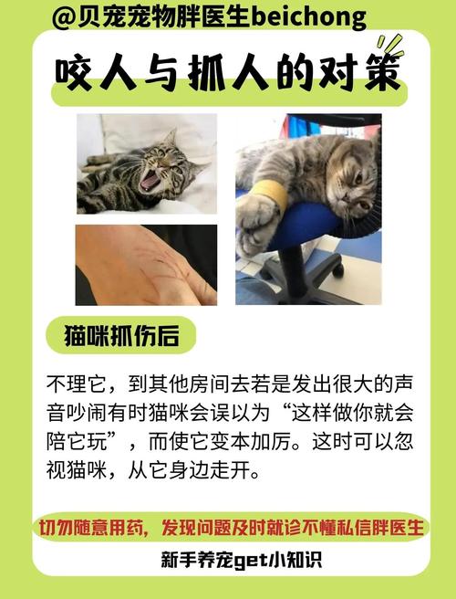 撸猫猫为什么突然伸爪子咬人_猫咪咕噜不代表享受,咬人是它在说够了! 撸猫猫为什么突然伸爪子咬人_猫咪咕噜不代表享受,咬人是它在说够了!