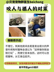 撸猫猫为什么突然伸爪子咬人_猫咪咕噜不代表享受，咬人是它在说够了！