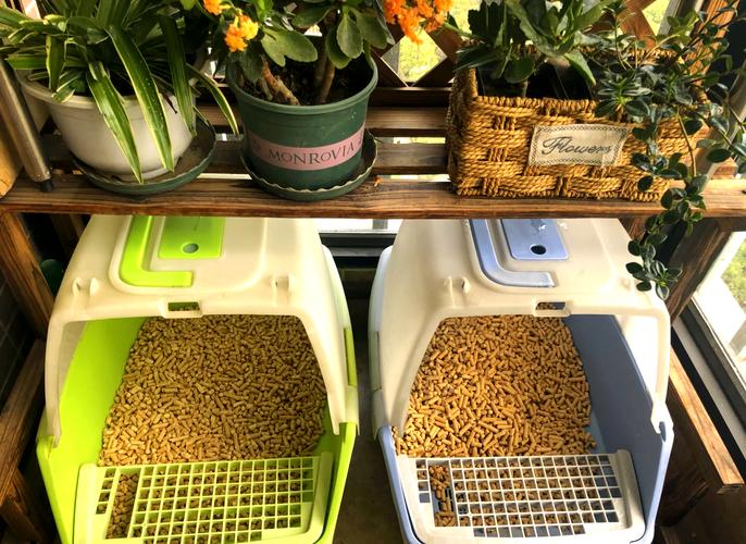 养二只猫一定要二个猫砂盆吗_多猫别共用猫砂盆,健康卫生分开放! 养二只猫一定要二个猫砂盆吗_多猫别共用猫砂盆,健康卫生分开放!