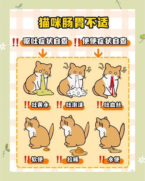 40天的小猫乱拉屎怎么办_小猫40天乱拉屎?用对方法能纠正 40天的小猫乱拉屎怎么办_小猫40天乱拉屎?用对方法能纠正