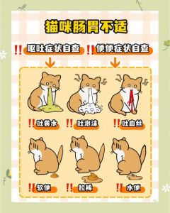40天的小猫乱拉屎怎么办_小猫40天乱拉屎？用对方法能纠正