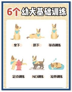 0-3个月幼犬训练_零食夸奖比呵斥管用