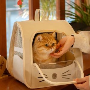 太空舱猫包让上公交吗_公交地铁带猫政策不同，注意安全和规定