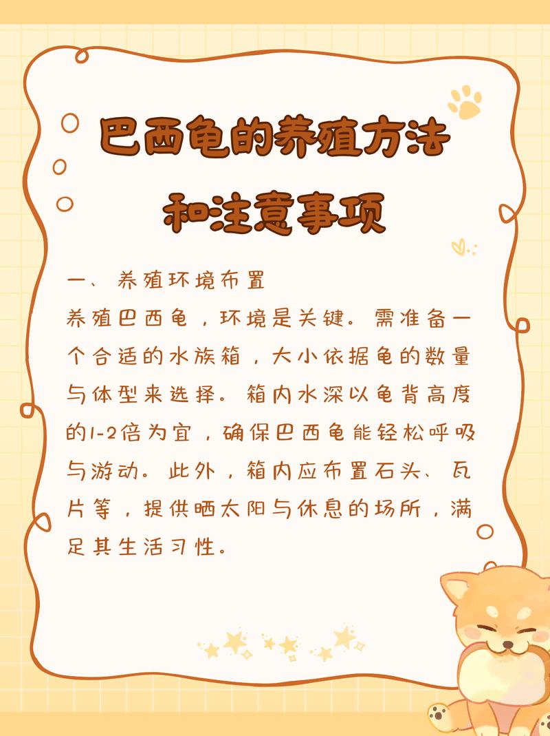 养巴西龟注意事项_水光食环境,健康长寿责任重 养巴西龟注意事项_水光食环境,健康长寿责任重