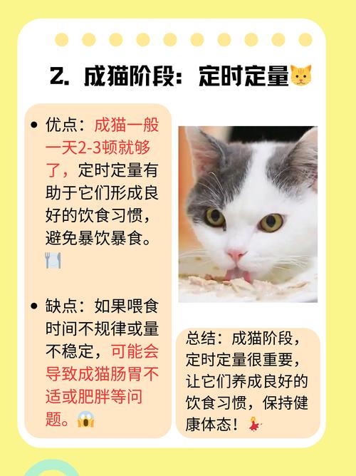 一斤鸡胸肉够猫吃多久_猫咪鸡胸肉量因体重活动而异,注意营养均衡勿过量 一斤鸡胸肉够猫吃多久_猫咪鸡胸肉量因体重活动而异,注意营养均衡勿过量