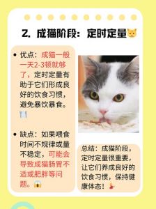 一斤鸡胸肉够猫吃多久_猫咪鸡胸肉量因体重活动而异，注意营养均衡勿过量