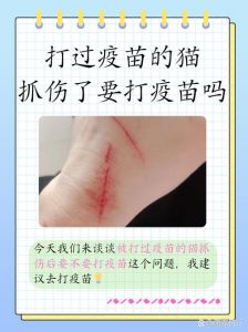 被家养猫抓伤出血要打针吗_猫抓伤出血要不要打针？看情况！