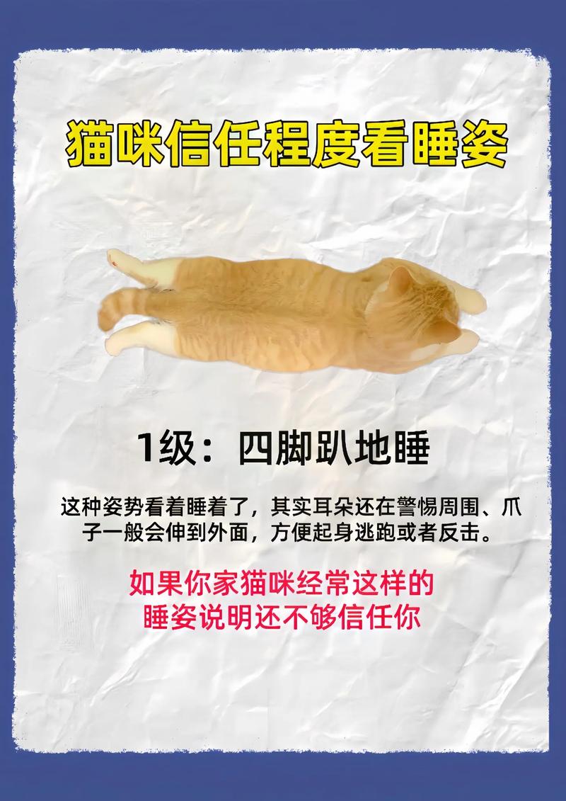 猫愿意在你怀里睡说明_猫咪喜欢你抱着睡,因你温暖安全,它也守护你 猫愿意在你怀里睡说明_猫咪喜欢你抱着睡,因你温暖安全,它也守护你