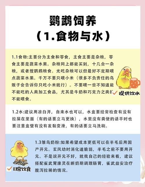养玄凤鹦鹉要注意什么_笼子温度饮食互动,是十几年承诺! 养玄凤鹦鹉要注意什么_笼子温度饮食互动,是十几年承诺!