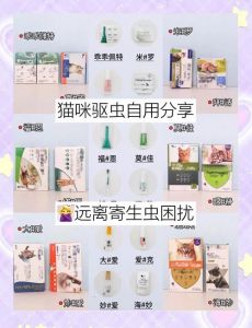 杀虫剂猫猫闻了有影响吗_杀虫剂伤猫！闻着也可能中毒