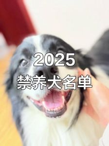 公安部禁养犬一览表2024_禁养狼青等犬种，大型犬也受限，安全与养犬权如何平衡？
