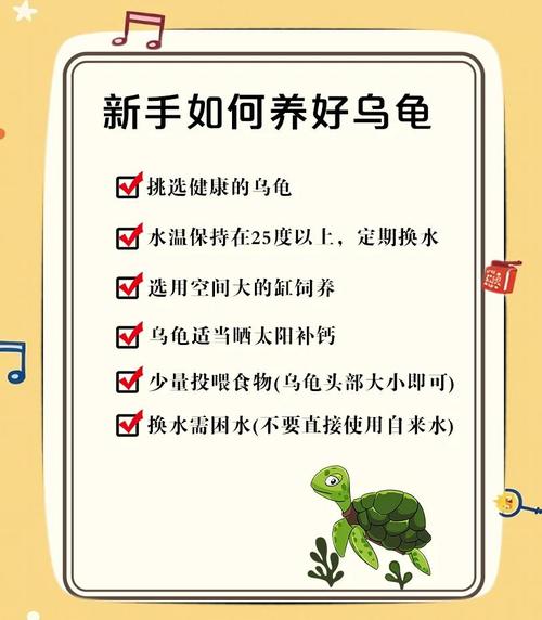 庙龟饲养指南_北方养龟要加温,龟喜水陆两栖,红薯叶是主粮 庙龟饲养指南_北方养龟要加温,龟喜水陆两栖,红薯叶是主粮