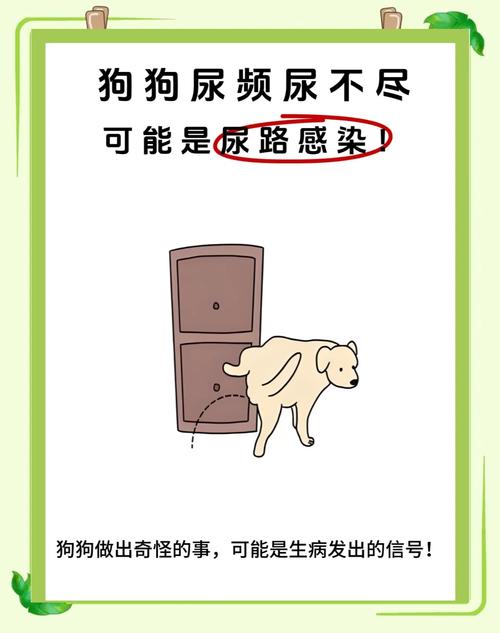 能让狗狗排尿的声音放给我听_狗狗听声音定点大小便训练法 能让狗狗排尿的声音放给我听_狗狗听声音定点大小便训练法