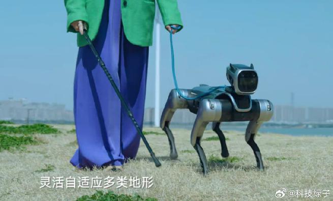 机器狗可以做导盲犬吗_机器狗导盲新选择，稳定可控但挑战多
