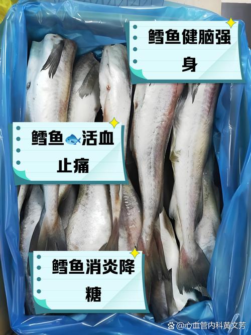 雪雕鱼攻击性强吗_雪雕鱼温和滤食,但环境压力易攻击 雪雕鱼攻击性强吗_雪雕鱼温和滤食,但环境压力易攻击