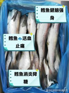 雪雕鱼攻击性强吗_雪雕鱼温和滤食，但环境压力易攻击