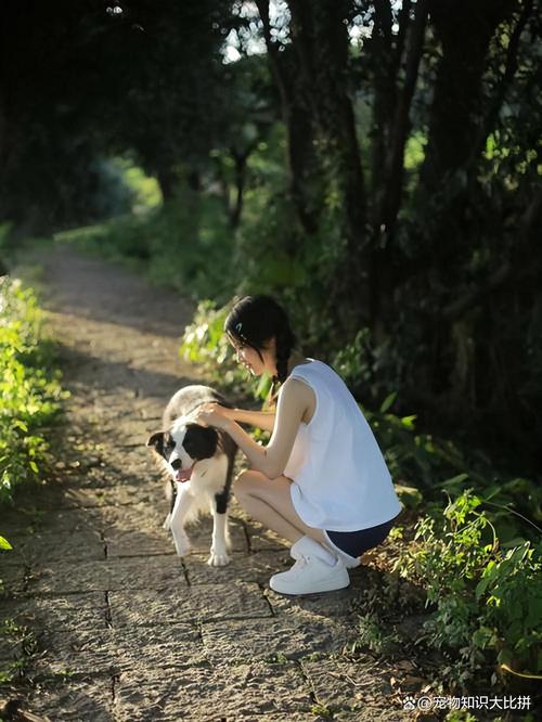 人和黑狗狗快乐玩耍的温馨瞬间,展现彼此间的深厚感情 人和黑狗狗快乐玩耍的温馨瞬间,展现彼此间的深厚感情
