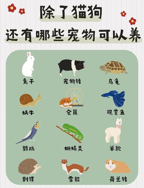 动物繁殖1000种大全:详尽介绍多样宠物繁育知识与品种特性 动物繁殖1000种大全:详尽介绍多样宠物繁育知识与品种特性