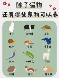 动物繁殖1000种大全：详尽介绍多样宠物繁育知识与品种特性