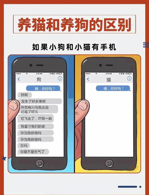 动物与人类的关系：宠物在我们生活中的重要角色与互动探索