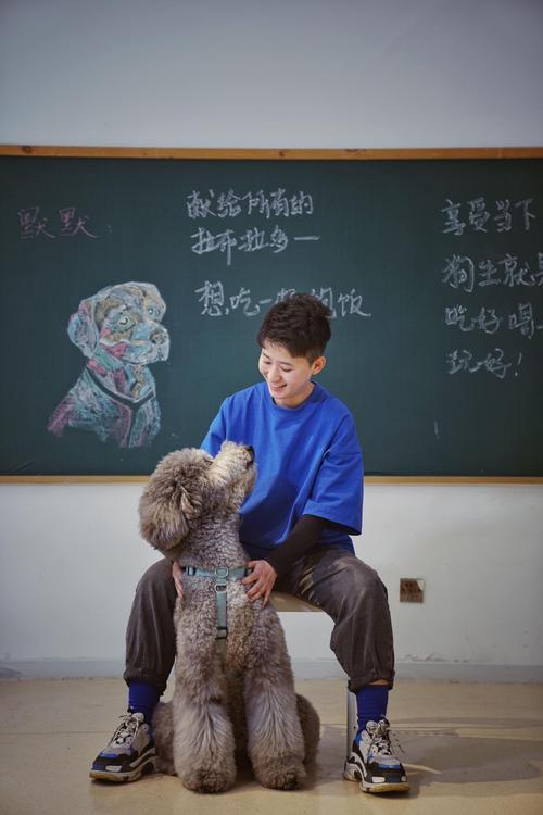 一人一狗的精彩动作片视频,展现人与宠物之间的默契与勇敢默契的冒险瞬间 一人一狗的精彩动作片视频,展现人与宠物之间的默契与勇敢默契的冒险瞬间