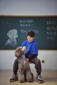 一人一狗的精彩动作片视频，展现人与宠物之间的默契与勇敢默契的冒险瞬间