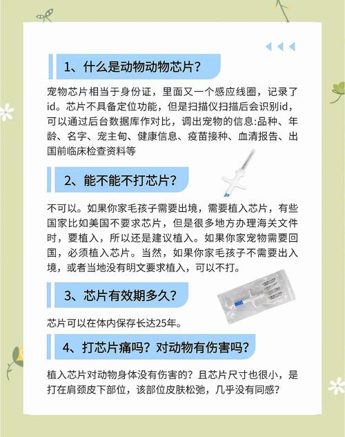 探索Python人马兽系宠物的多样魅力与养护指南 探索Python人马兽系宠物的多样魅力与养护指南