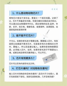 探索Python人马兽系宠物的多样魅力与养护指南