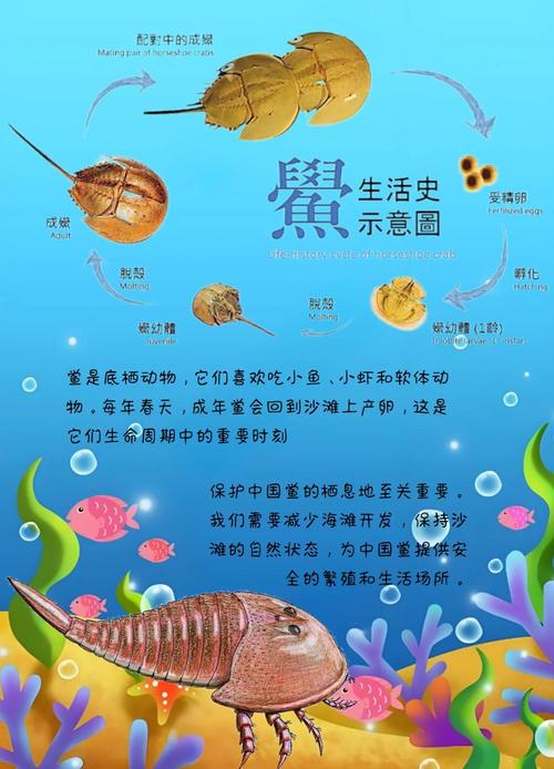 动物繁衍大全(2):不同物种的繁殖方式与习性揭秘 动物繁衍大全(2):不同物种的繁殖方式与习性揭秘