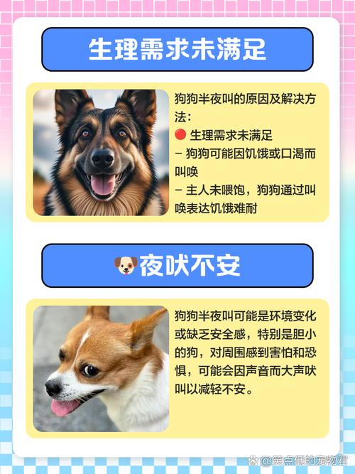 狗夜里叫是什么原因_狗狗半夜叫的原因和处理方法 狗夜里叫是什么原因_狗狗半夜叫的原因和处理方法