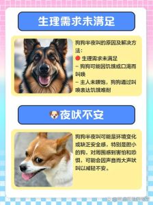 狗夜里叫是什么原因_狗狗半夜叫的原因和处理方法