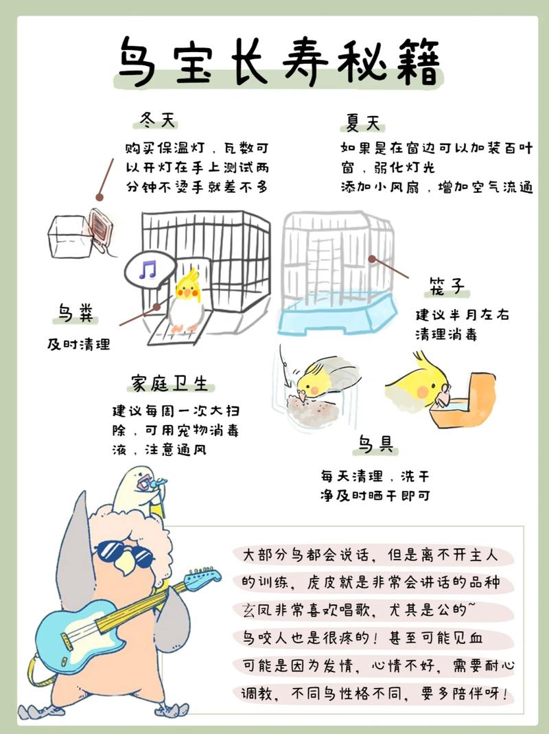 鸟的寿命一般有几年_鸟儿寿命短,精心养或活二十年 鸟的寿命一般有几年_鸟儿寿命短,精心养或活二十年