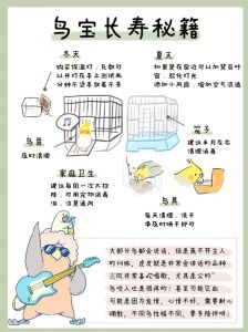 鸟的寿命一般有几年_鸟儿寿命短，精心养或活二十年