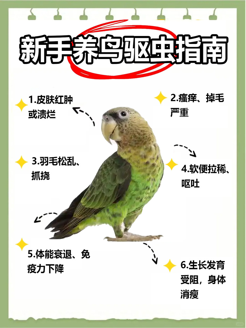 花斑癣和养鹦鹉有关系吗_鹦鹉花斑癣怎么办? 花斑癣和养鹦鹉有关系吗_鹦鹉花斑癣怎么办?