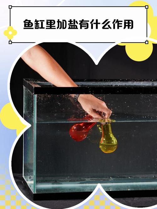 新缸入鱼要加盐吗_新鱼入缸加盐?浓度要控制,观察是关键! 新缸入鱼要加盐吗_新鱼入缸加盐?浓度要控制,观察是关键!