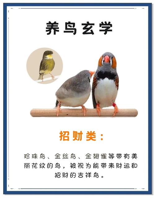 这种鸟为什么不能随便养_邬家因灵鹦鹉兴衰,贪婪招祸因果报应 这种鸟为什么不能随便养_邬家因灵鹦鹉兴衰,贪婪招祸因果报应